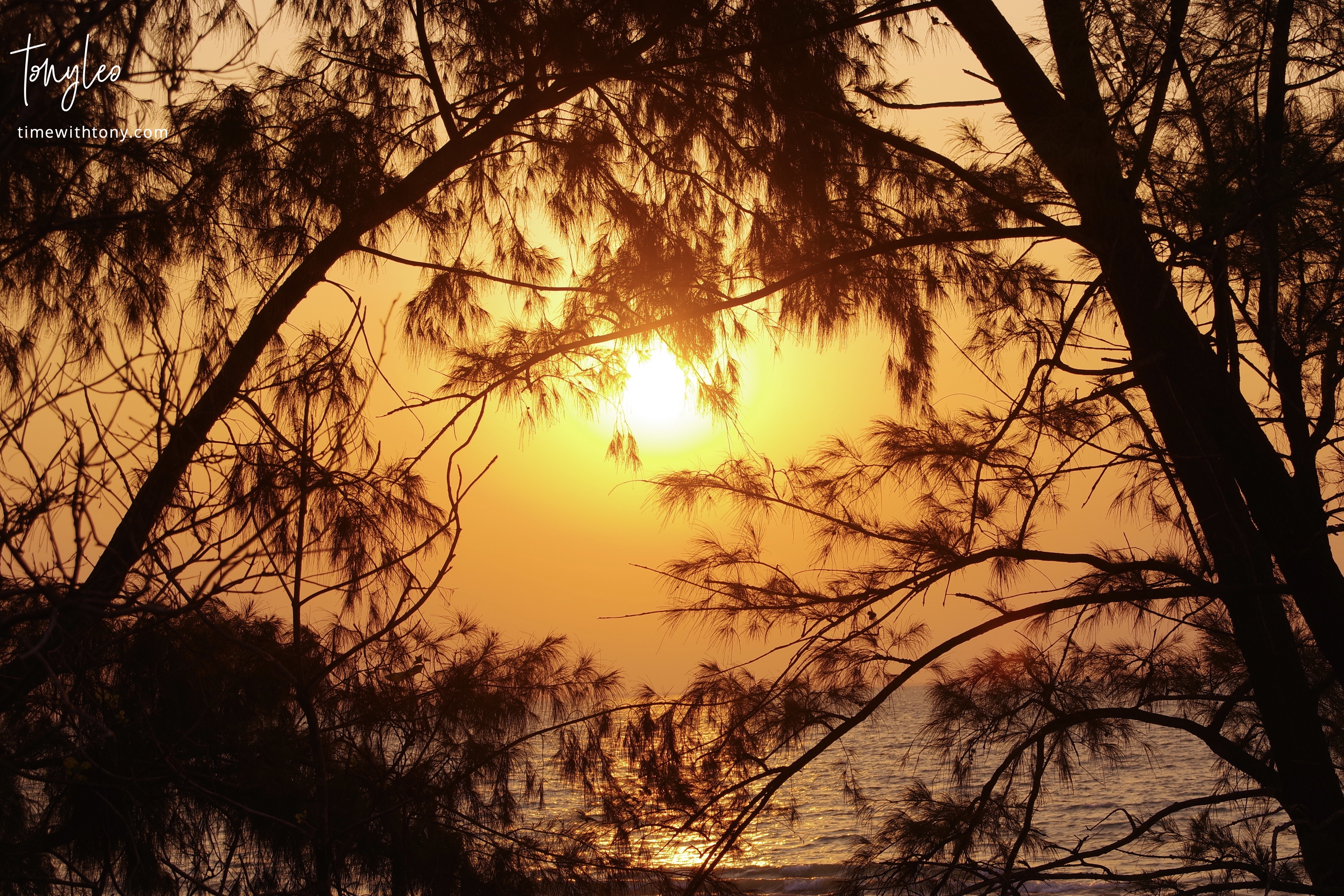 The Nightcliff sun