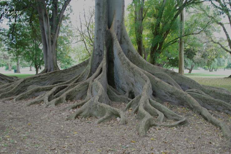 Tangled web or solid foundation?